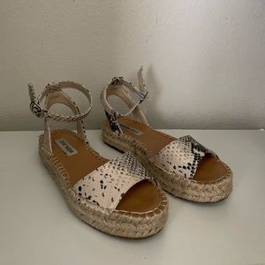 Steve Madden Snake Skin Espadrilles
